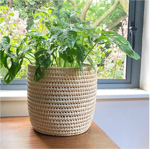 Woven Planter Basket